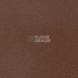 Ковролин Radici Nexus Visone 8204 фото 1 | FLOORDEALER